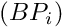 $ (BP_i) $