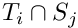 $ T_i\cap S_j$