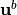 \mathbf{u}^b